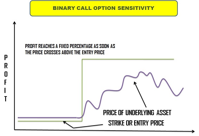 Binary Call Option Sensitivity