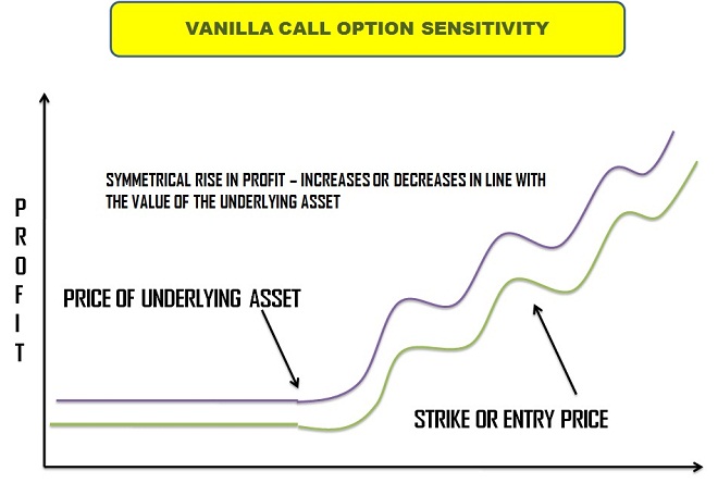 Vanilla Call Option Sensitivity